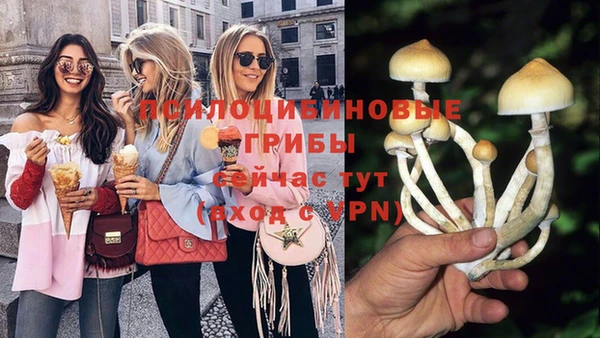 бошки Алзамай