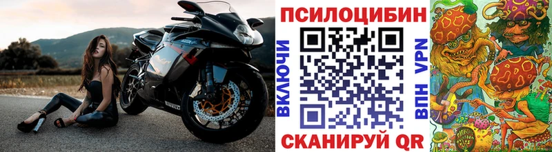 Псилоцибиновые грибы мицелий  купить наркотики цена  Ставрополь 