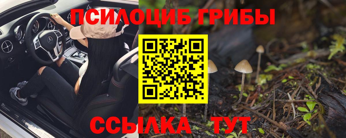 Галлюциногенные грибы Cubensis Ставрополь